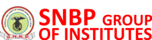 logo of SNBP International School